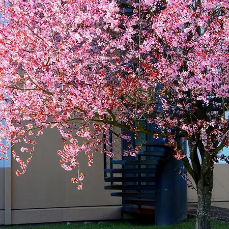 فندق Hotelf1 Saint-die