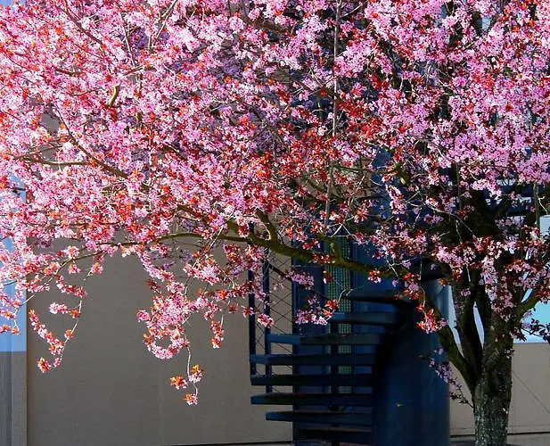 Hotel Hotelf1 Saint-die